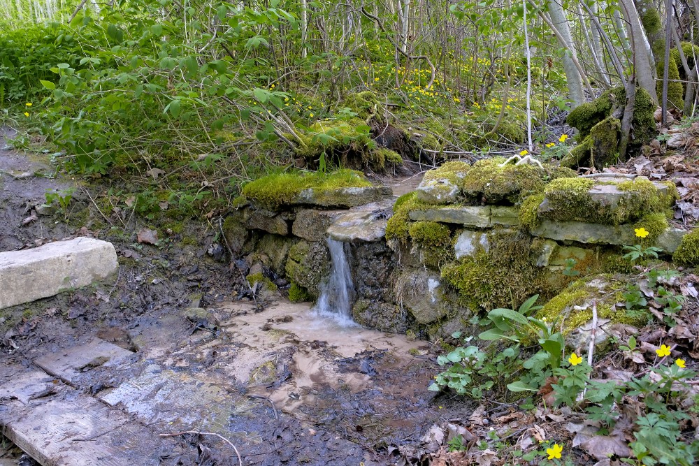 Dabas taka "Mīlestības taka" Sabilē Dabas taka "Mīlestības taka" Sabilē