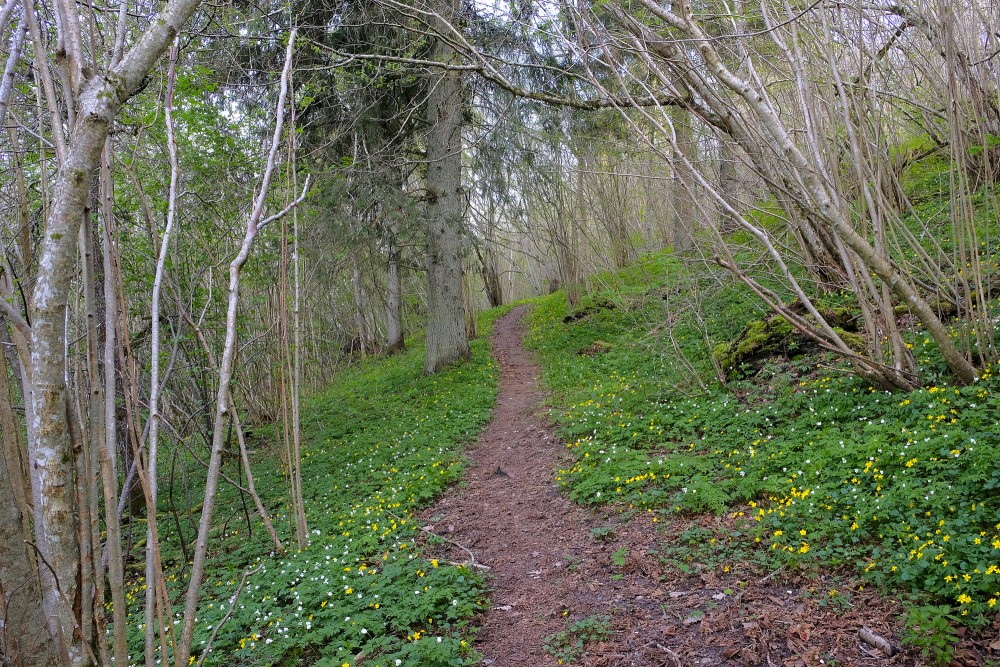 Love Nature Trail of Swedish Cap
