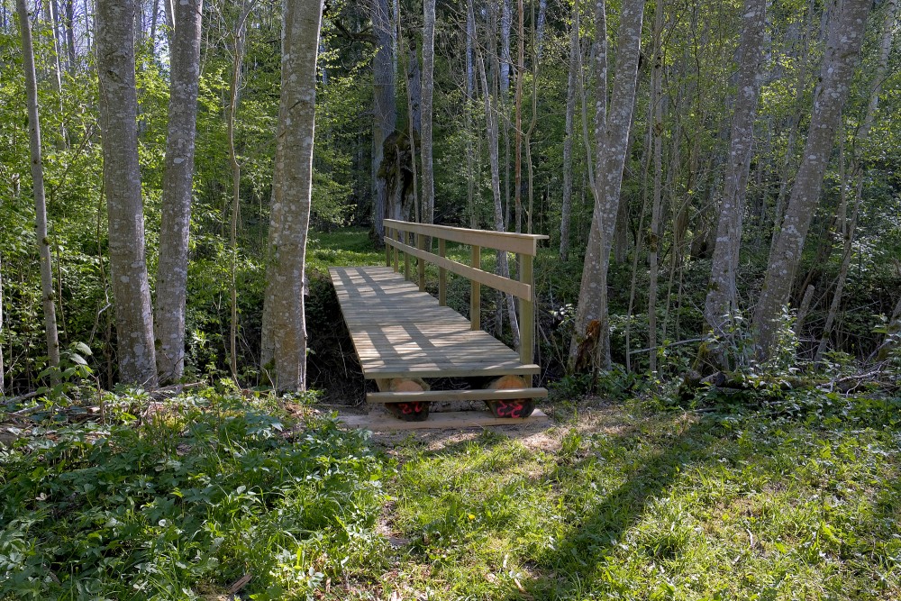 A bridge on a Nature Trail "Ukru gārša"