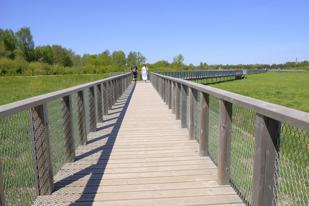 Wooden boardwalks at the flood-land meadows of the River Svēte