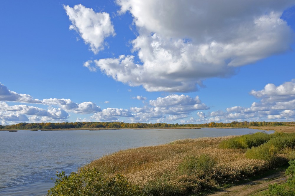 Sātiņu dīķi, ainava