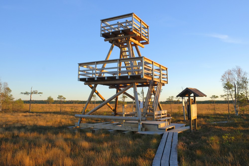 Vasenieki Marsh Bird Watching Tower