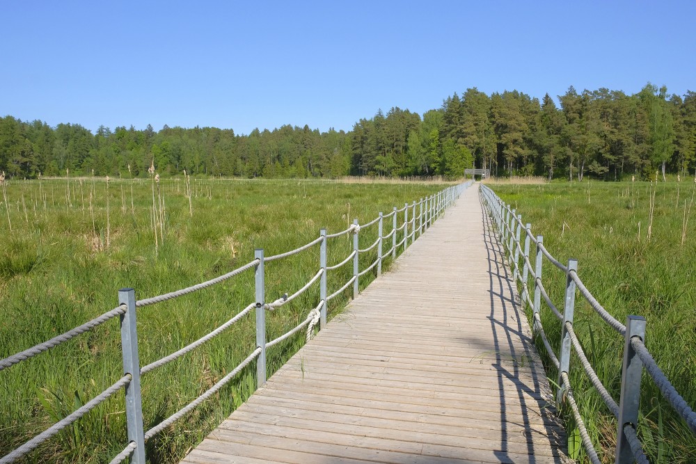 Kazdanga Park Nature Trail