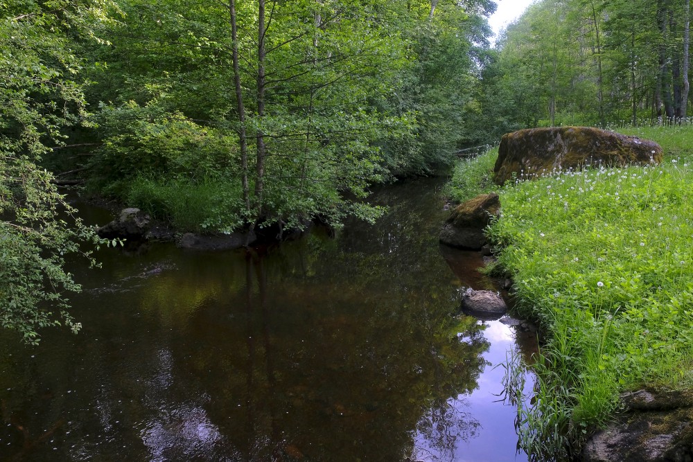 Dienvidsusēja Gārsenes meža parkā