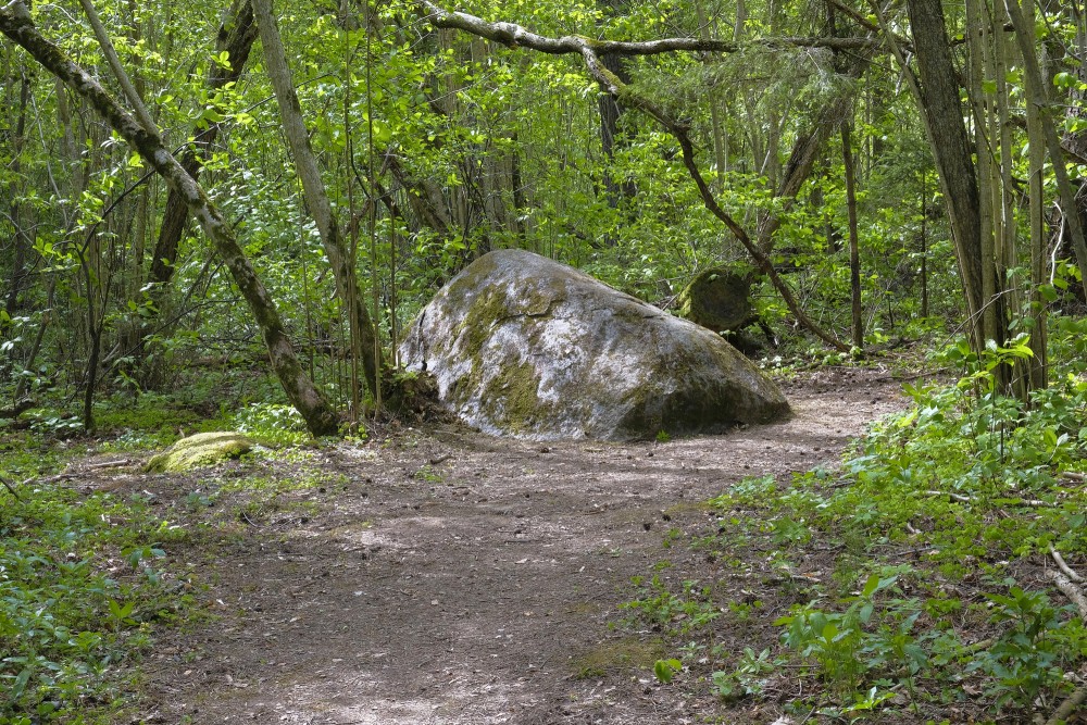 Kartavu Hill Nature Trail, Stone