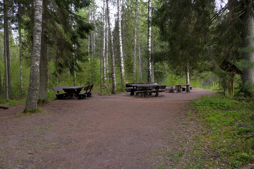 Nature Trail "Viesatas Upesloki", Latvia