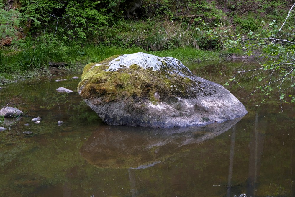 Stone In The Viesata River