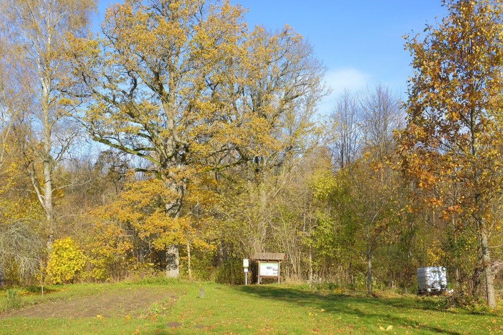 Ķirbiži Forest Trail In Autumn