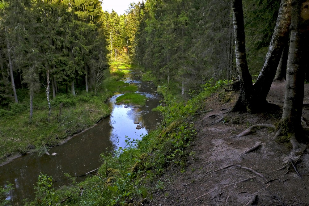 Viesata River Landscape