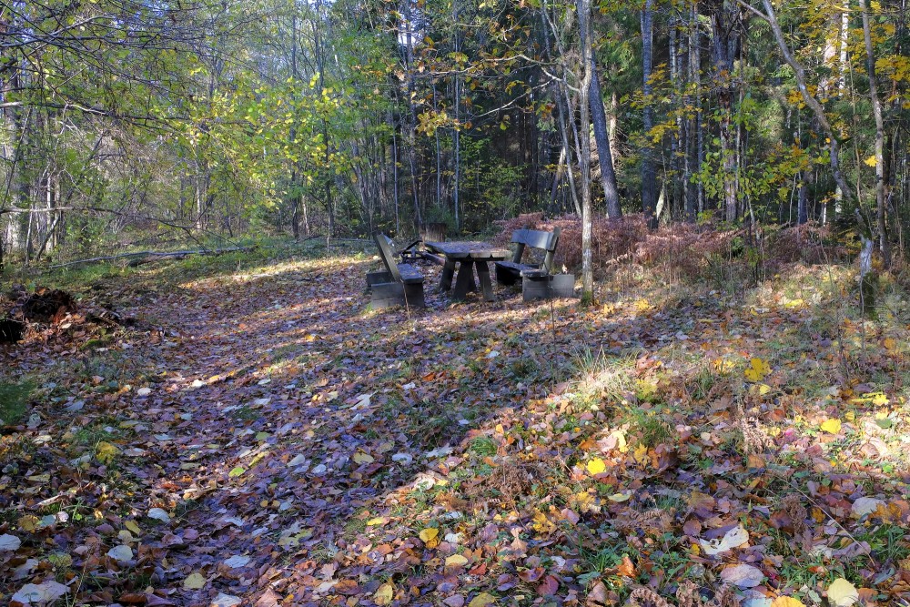 Ķirbiži Forest Trail