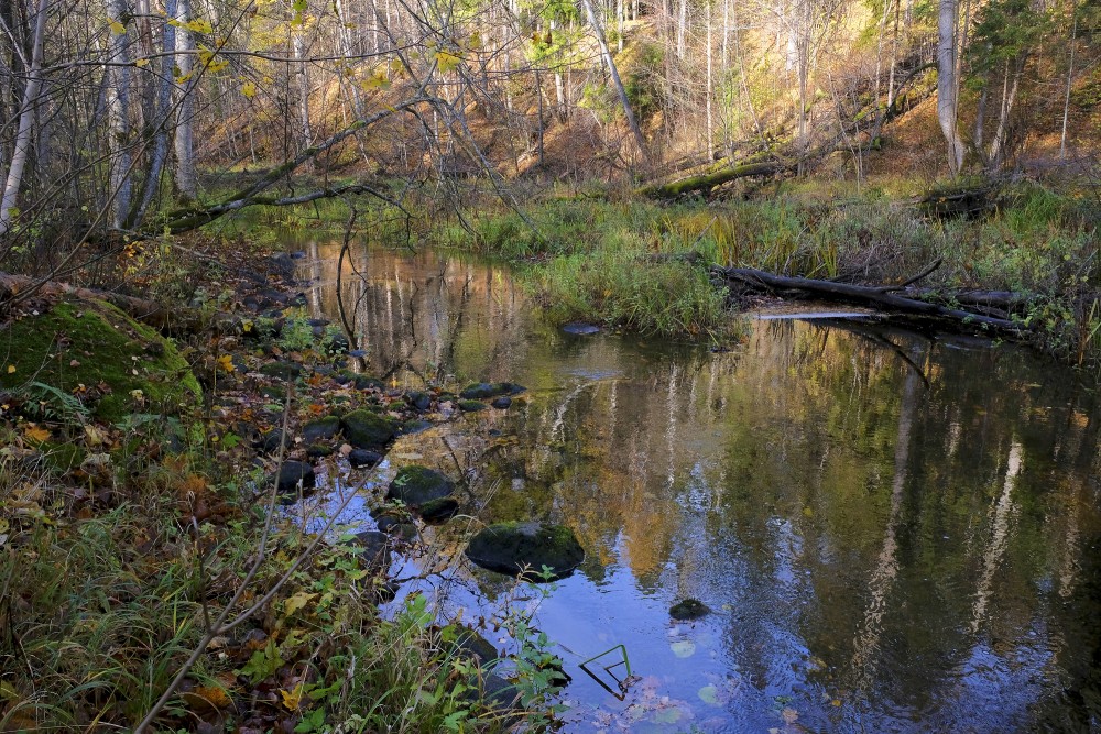 Vitrupe River Near Ķirbiži