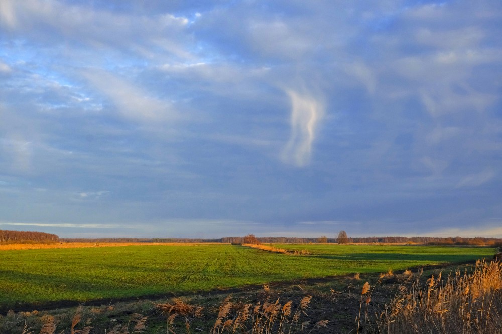 Pape Polder Meadows, Interesting sky