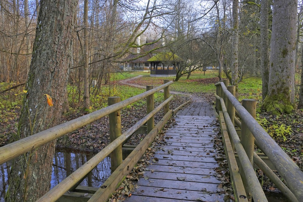 Black Alder Swamp Forest Plankway