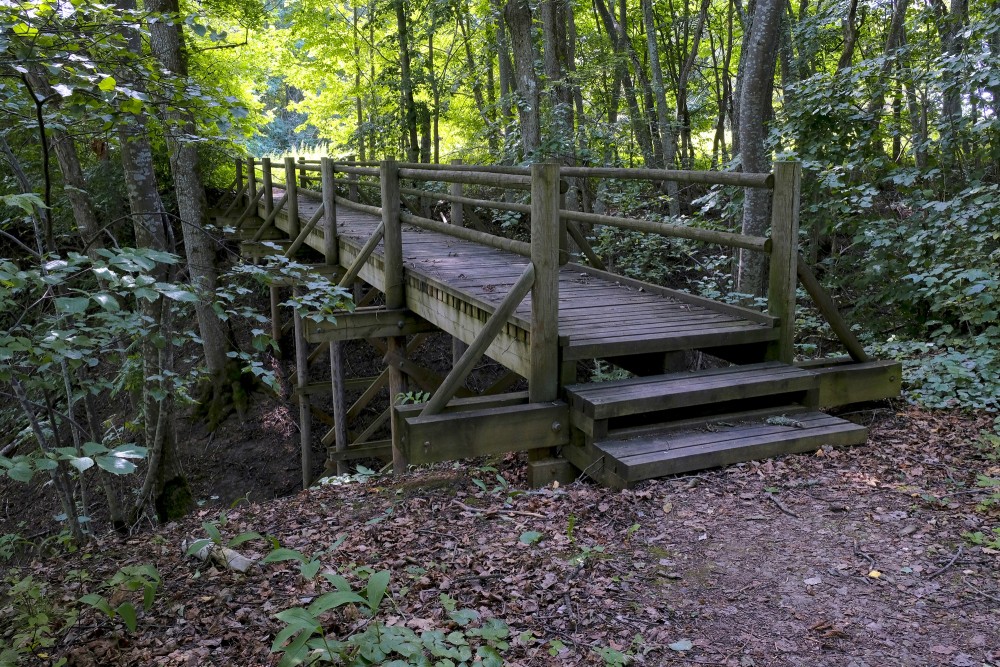 The Bridge on the Tilderi Nature Trail