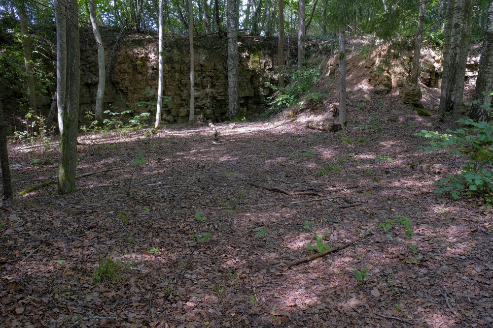 Dolomīta atsegumi Tilderu dabas takā