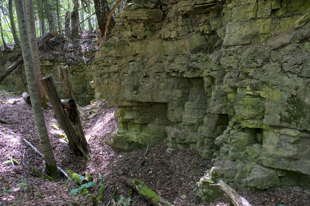 Dolomīta atsegumi Tilderu dabas takā