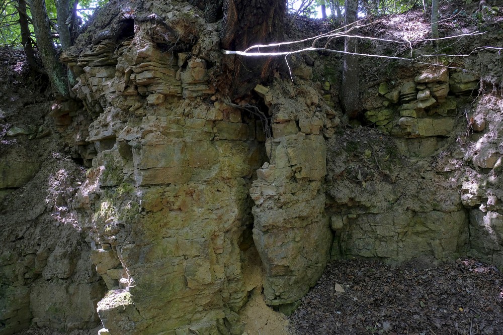Dolomīta atsegumi Tilderu dabas takā