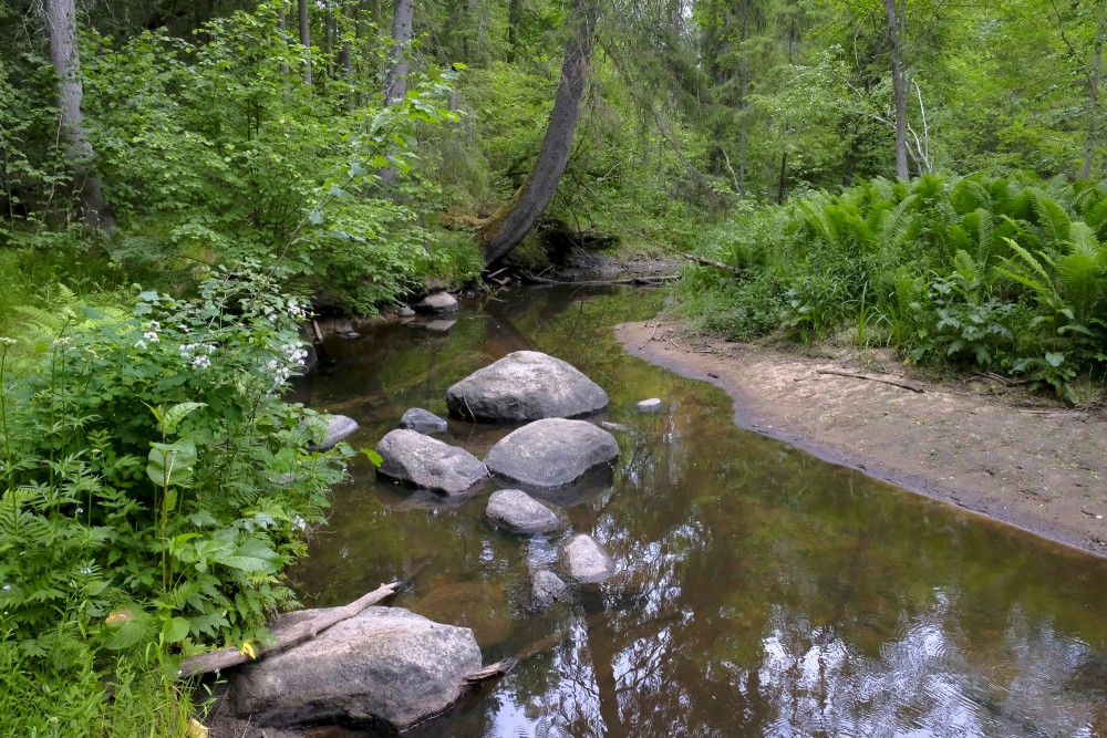 Vedze Nature Trail,  Vedze River