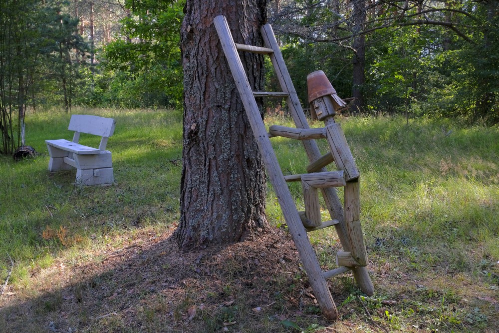 Ape Nature Trail