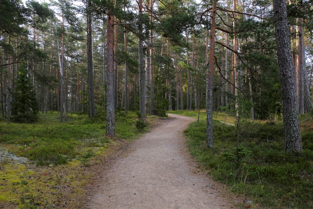 Ēvaži Nature Trail