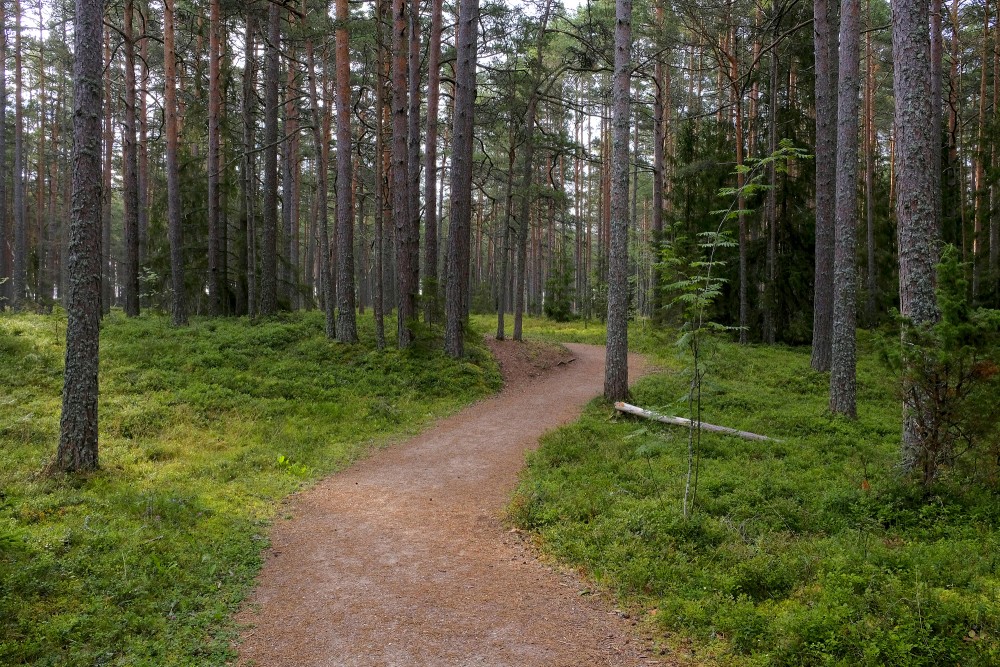 Ēvaži Nature Trail