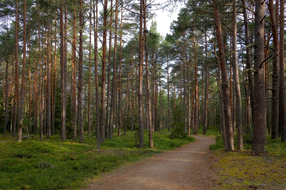 Ēvaži Nature Trail