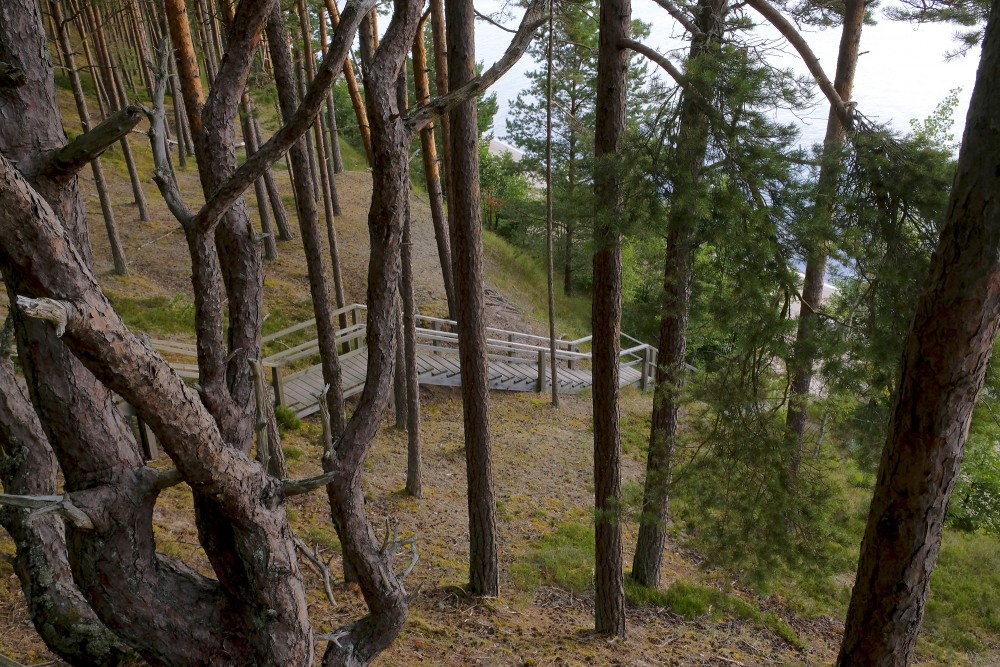 Ēvaži Nature Trail and Steep Bank