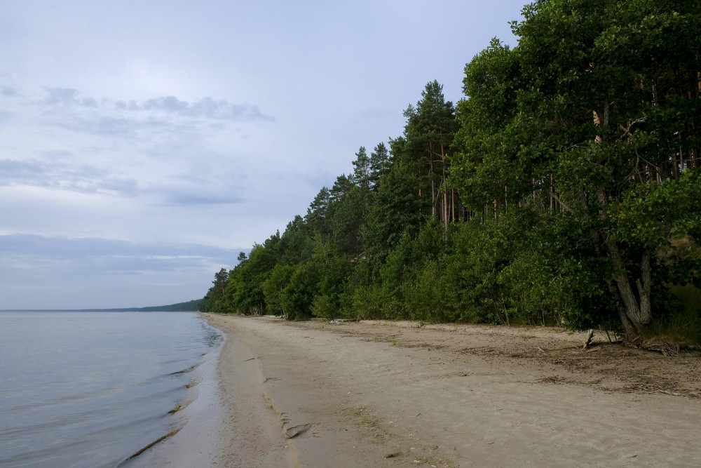 Beach at the Ēvaži Steep Bank