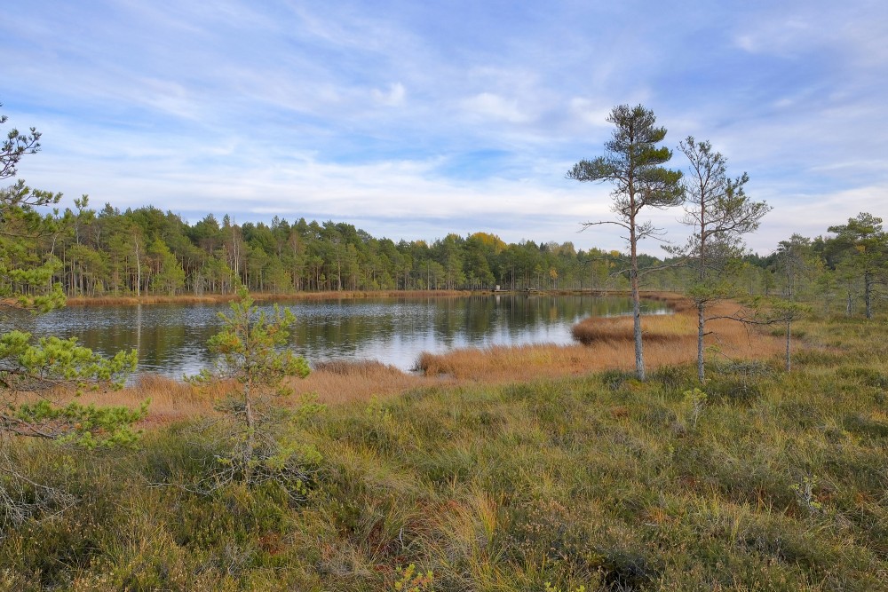 Lake Bezdibenis and the Kalnansi bog trail in a serene natural landscape