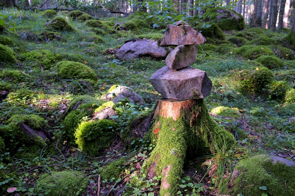 A pile of stones (Natural monument "Kaltenes Kalvas")