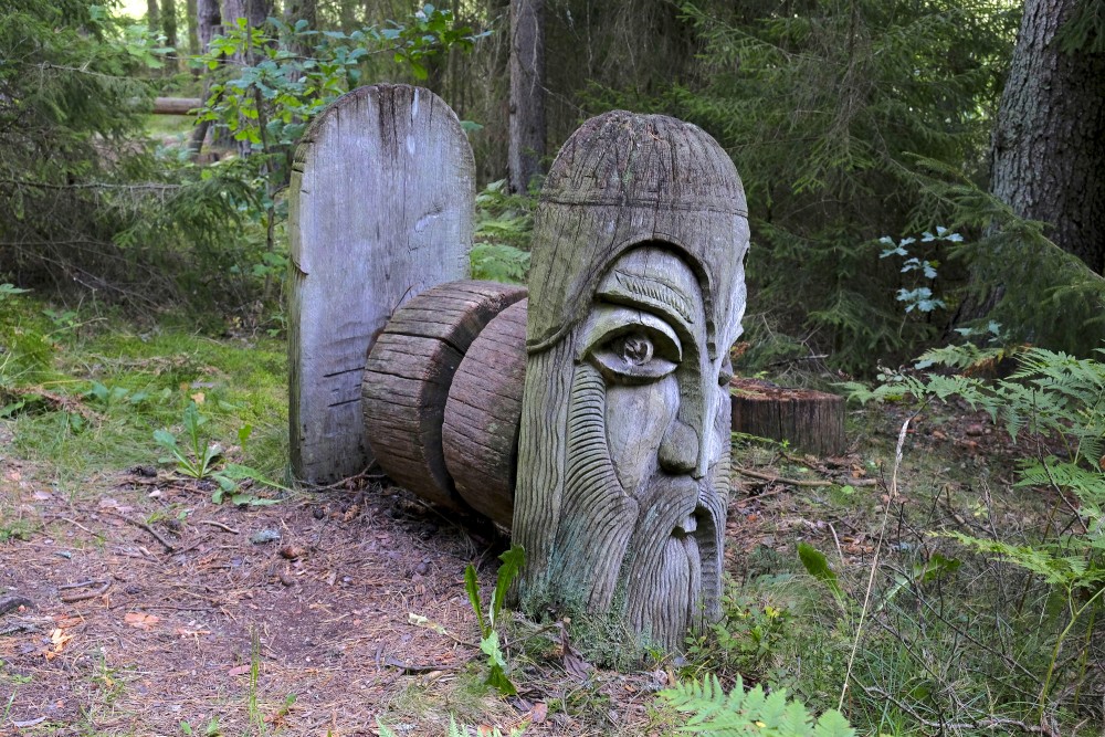 Wooden sculpture with a carved face in the forest by the Paplatelė cognitive trail