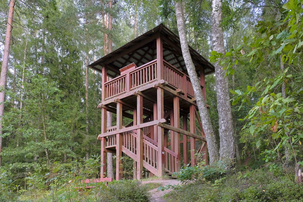 Wooden observation tower in the forest with stairs and a viewing platform