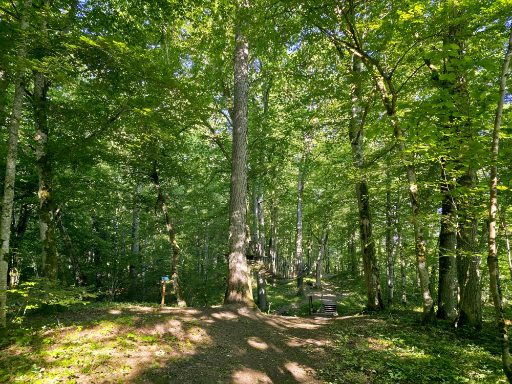 Cīravas mežaparka taka