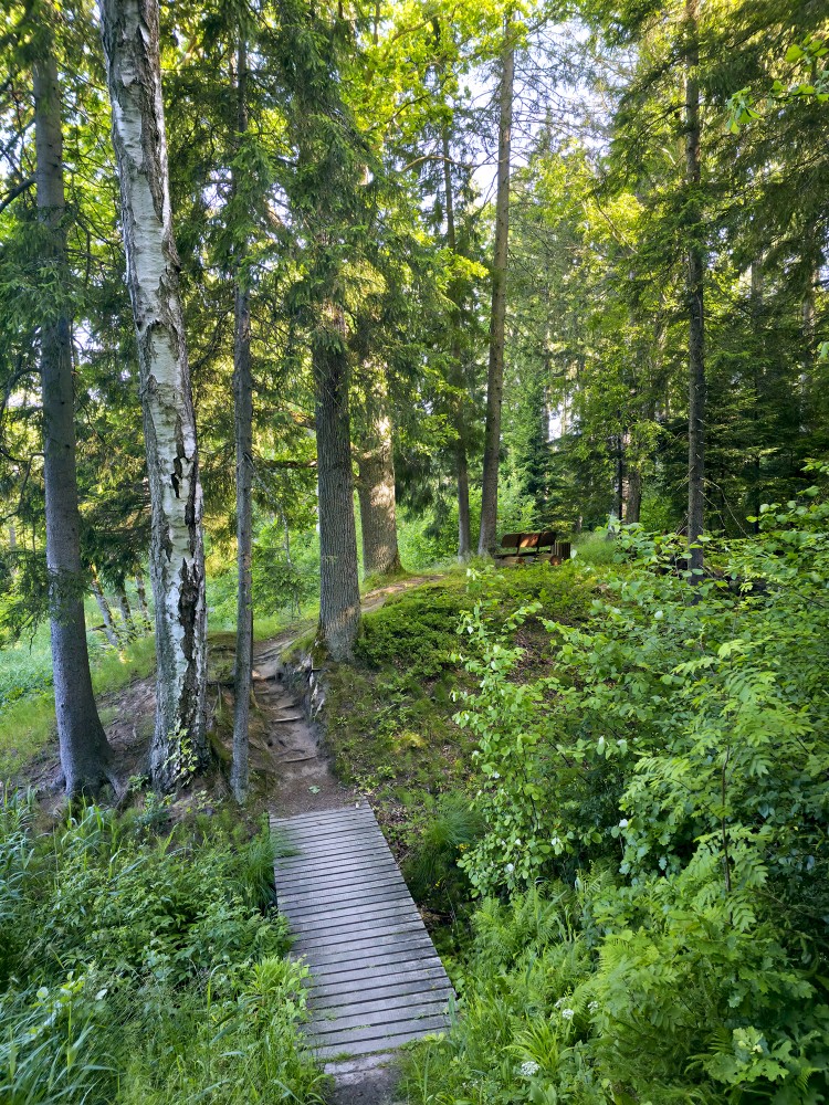 Cīravas mežaparka taka