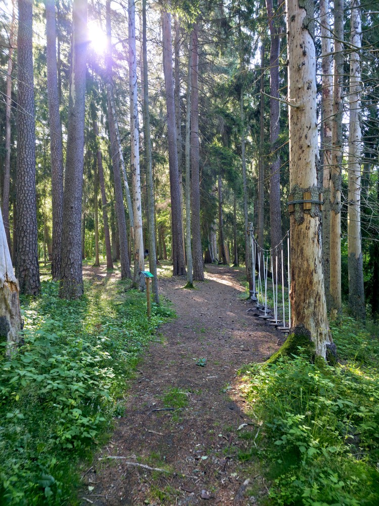 Cīravas mežaparka taka