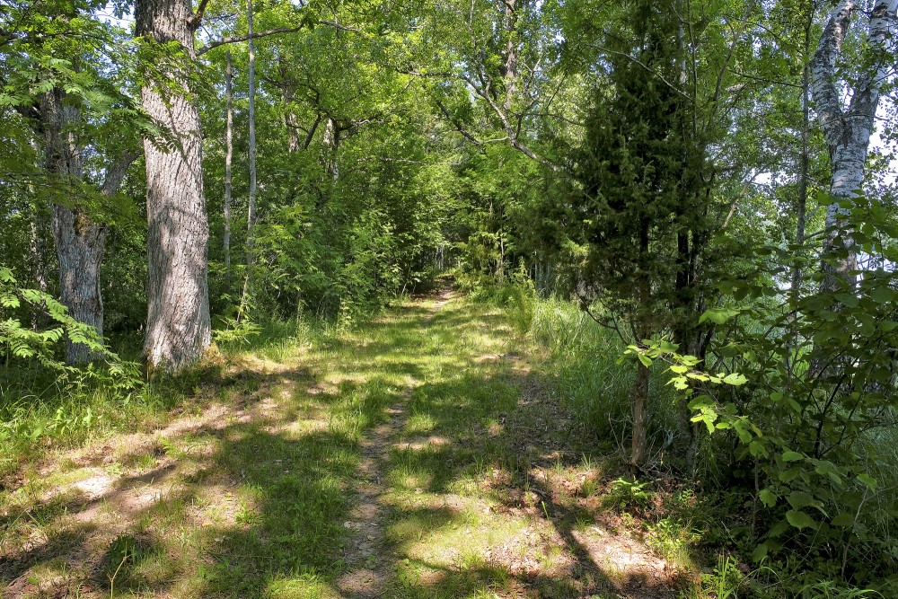 Dziļezera - Riebezera dabas taka