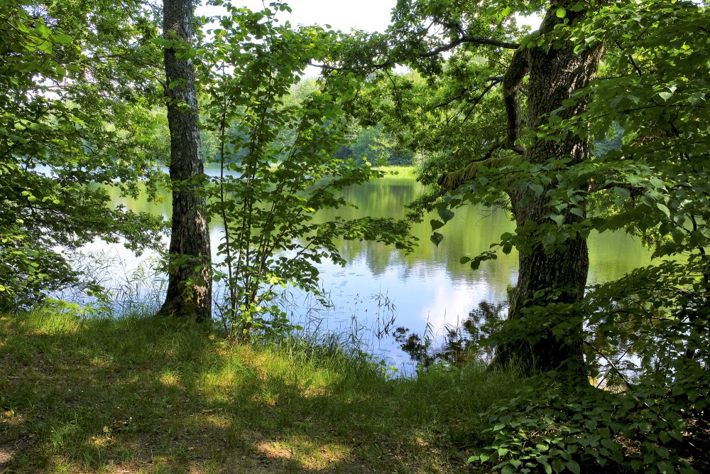 Ejot pa Dziļezera - Riebezera dabas taku