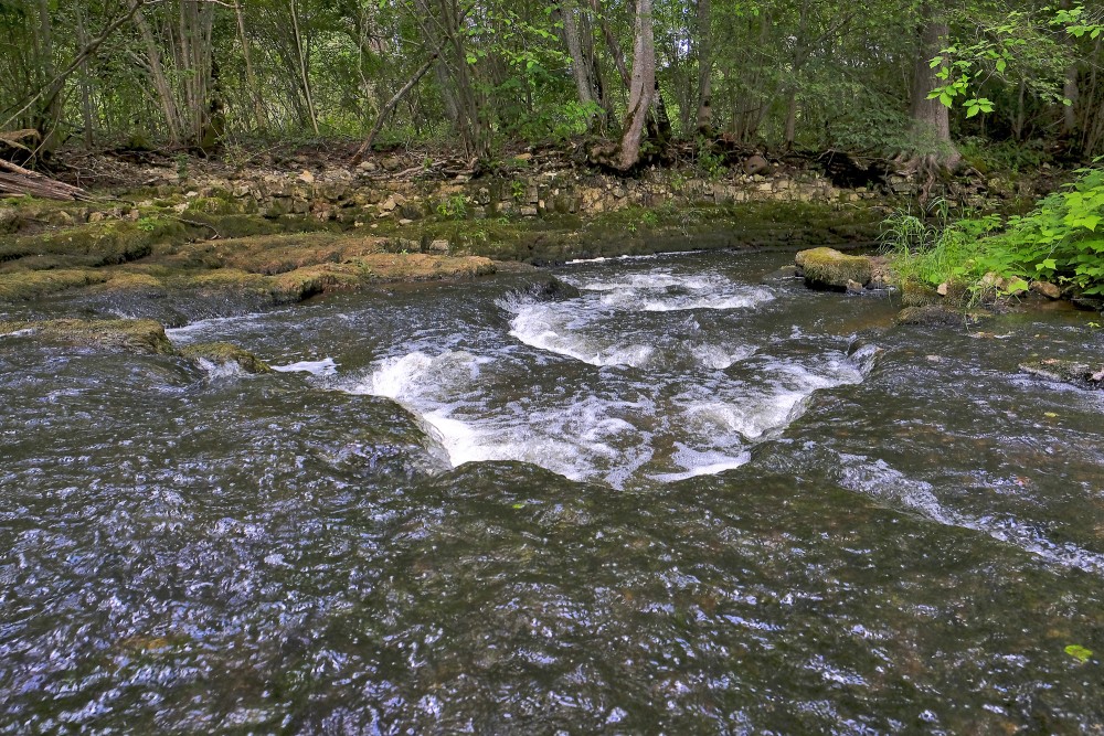 A Small Waterfall on the Vizla River