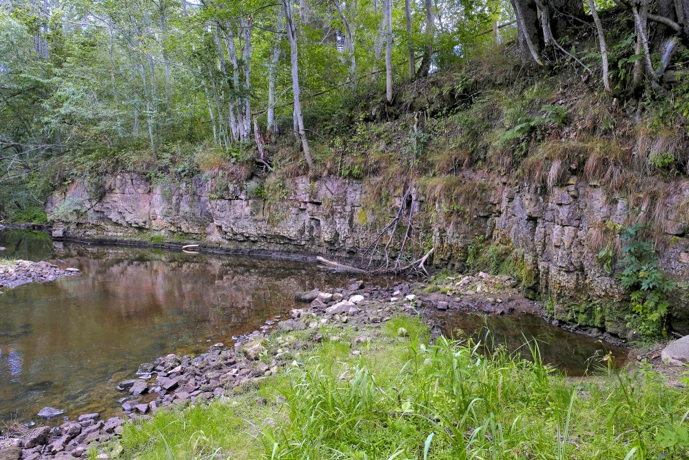 Dolomīta atsegumi Vizlas upes krastā