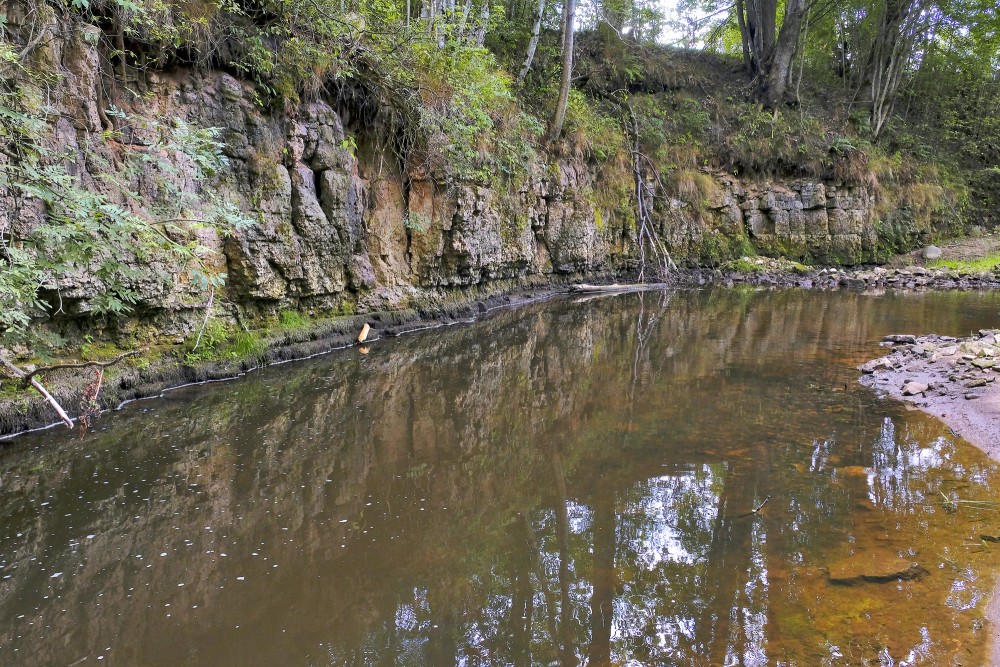 Dolomīta atsegumi Vizlas upes krastā