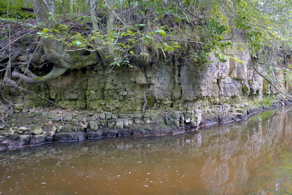 Dolomīta atsegumi Vizlas upes krastā