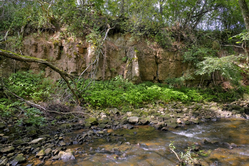 Dolomīta atsegumi Vizlas upes krastā