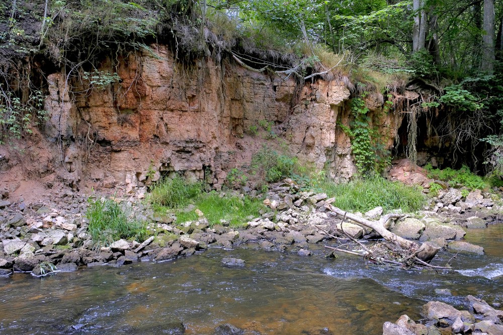 Dolomīta atsegumi Vizlas upes krastā