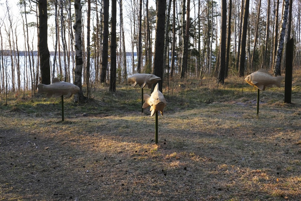 Koka zivju skulptūras pie Būšnieku ezera takas