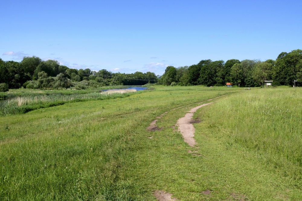 Bauska Castle Mound Park Landscape