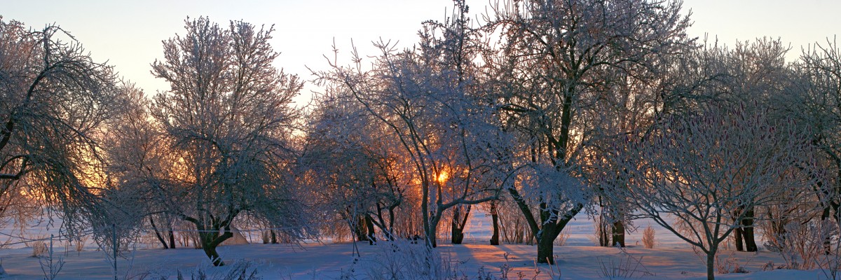 Ziemas rīts lauku mājās