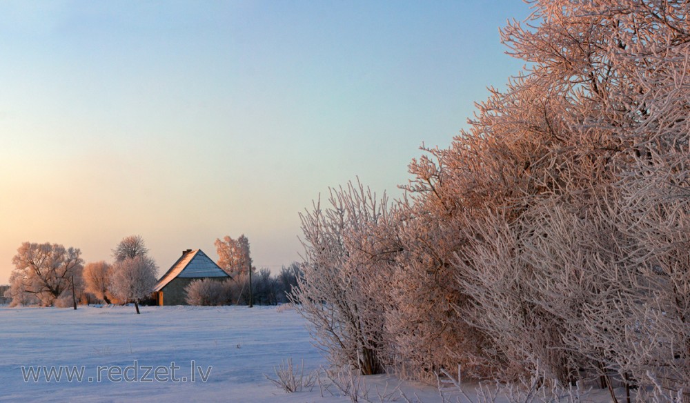 Winter morning in Tārgale
