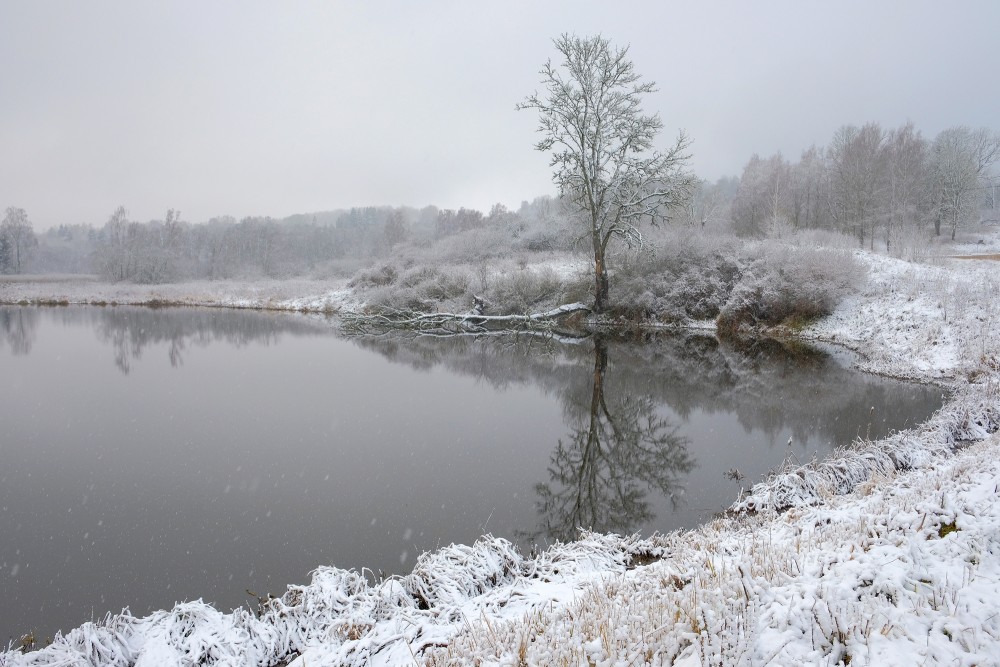 Embūte Castle Pond in Winter