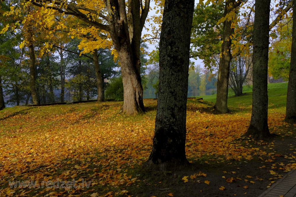 Autumn landscape on Maria Island