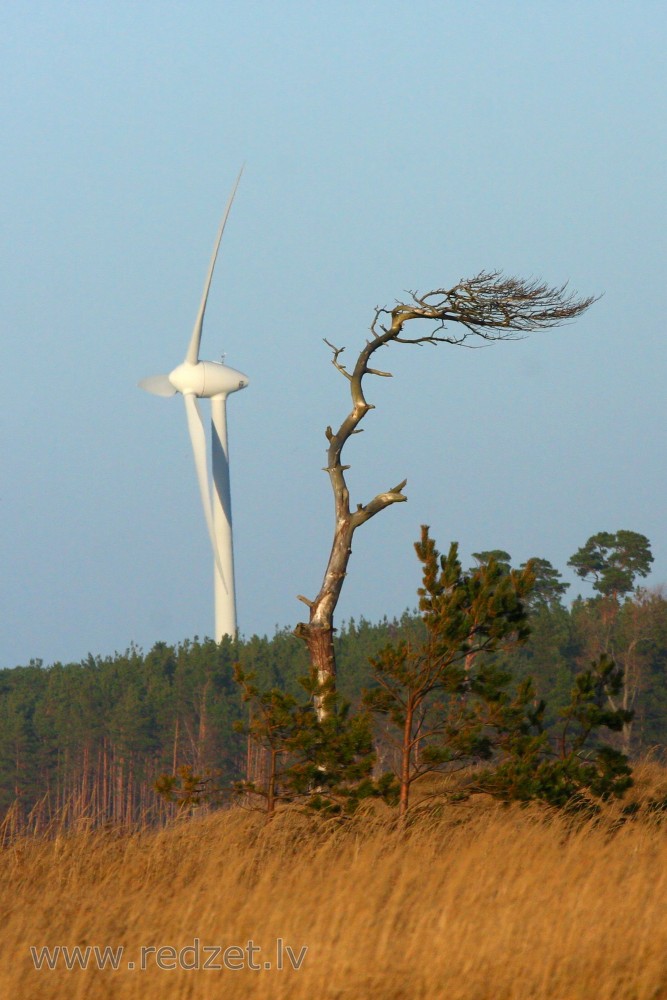 Wind Turbine in Liepāja
